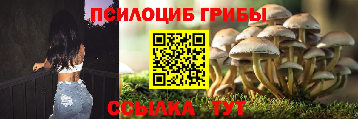 Димитровград  Галлюциногенные грибы мухоморы  Вход с VPN 